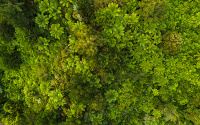 Mitigate Rising Energy Costs, Reduce Emissions and Reduce Costs with UV Curing